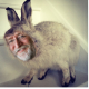 Image for article titled Kotaku 'Shop Contest: Better Than A Bunny Smartphone Case: The Winners!